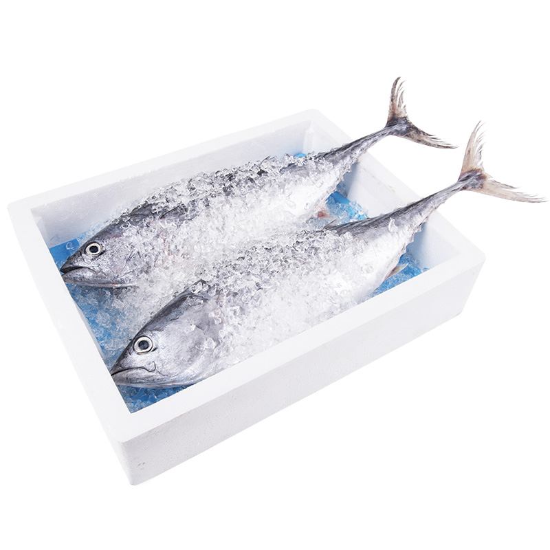 Wholesale Sap Soaker Fish Seafood Fresh Water Absorbent Pad