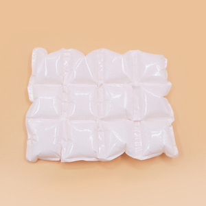 Double Sided eco friendly Dry Ice Pack for delivery